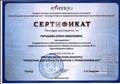 Сертификат участника второго областного конкурса "Проектная деятельность учителя с применением ИКТ"